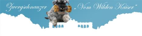 Zwergschnauzer vom wilden Kaiser