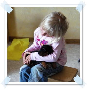 Welpenkontakt mit Kindern - Deutsche Pinscher vom L&uuml;dertal